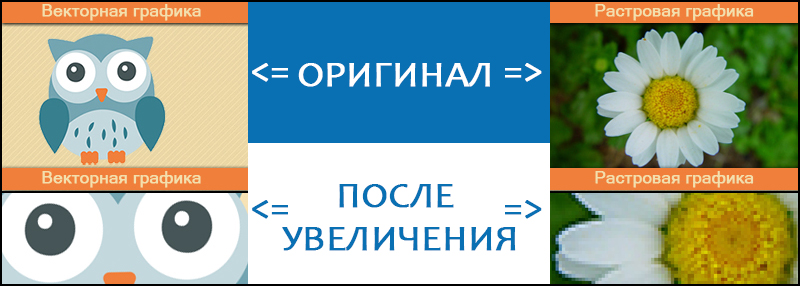 Векторные и растровые картинки